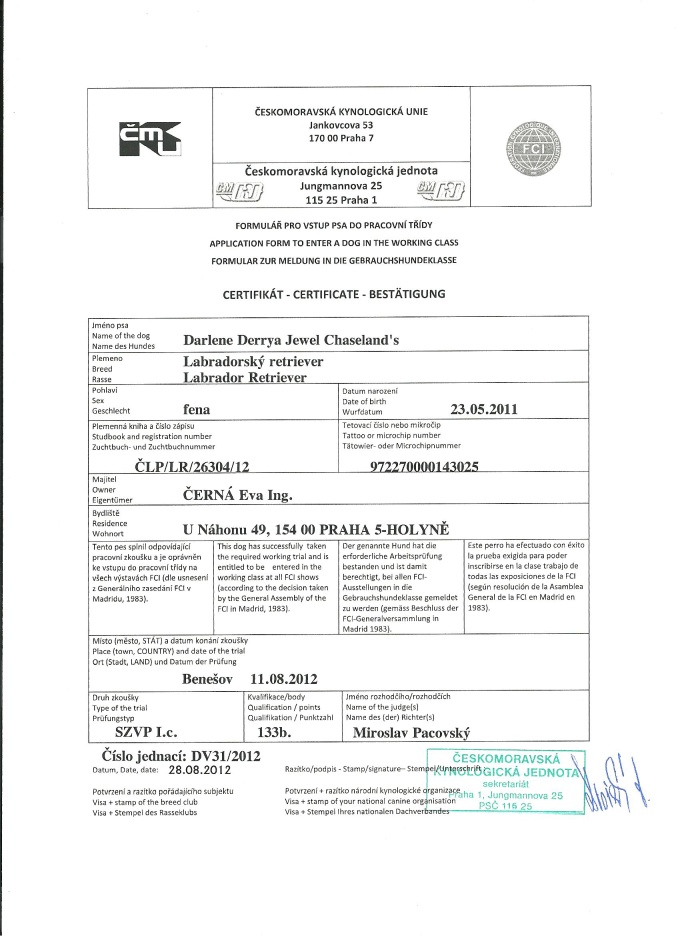 Derryin pracovní certifikát