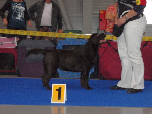 Derrya CACIB Praha