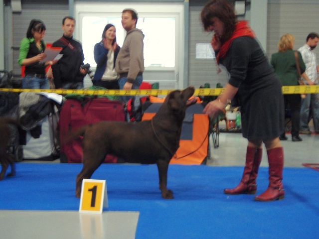 Maggy (sestra Derrynky) CAC MVP Praha