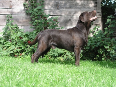 Jerry 13,5 m�s�ce