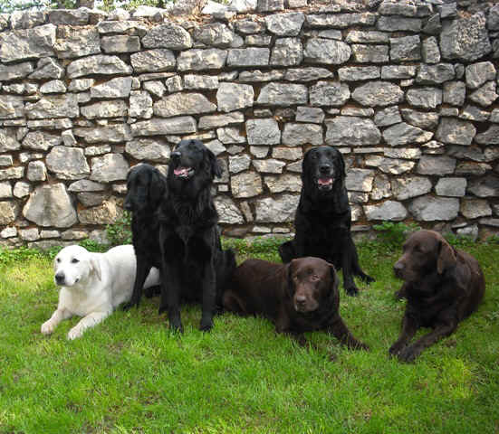 Zleva: Maggie, Anika, Viki, Líza, Anettka a Bára