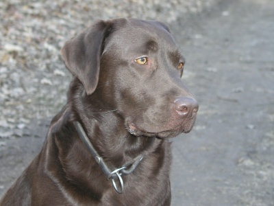 Chuchle 12.3.2007