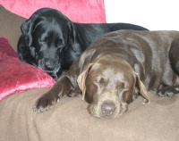 Anetka a B�ra relaxuj� ;-))