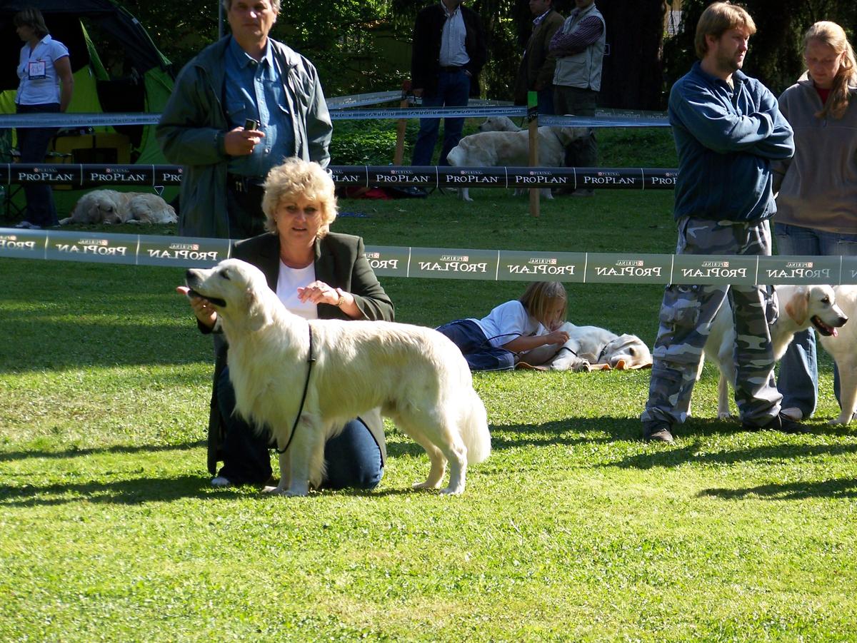 Ruda v kruhu při "štelování" postoje